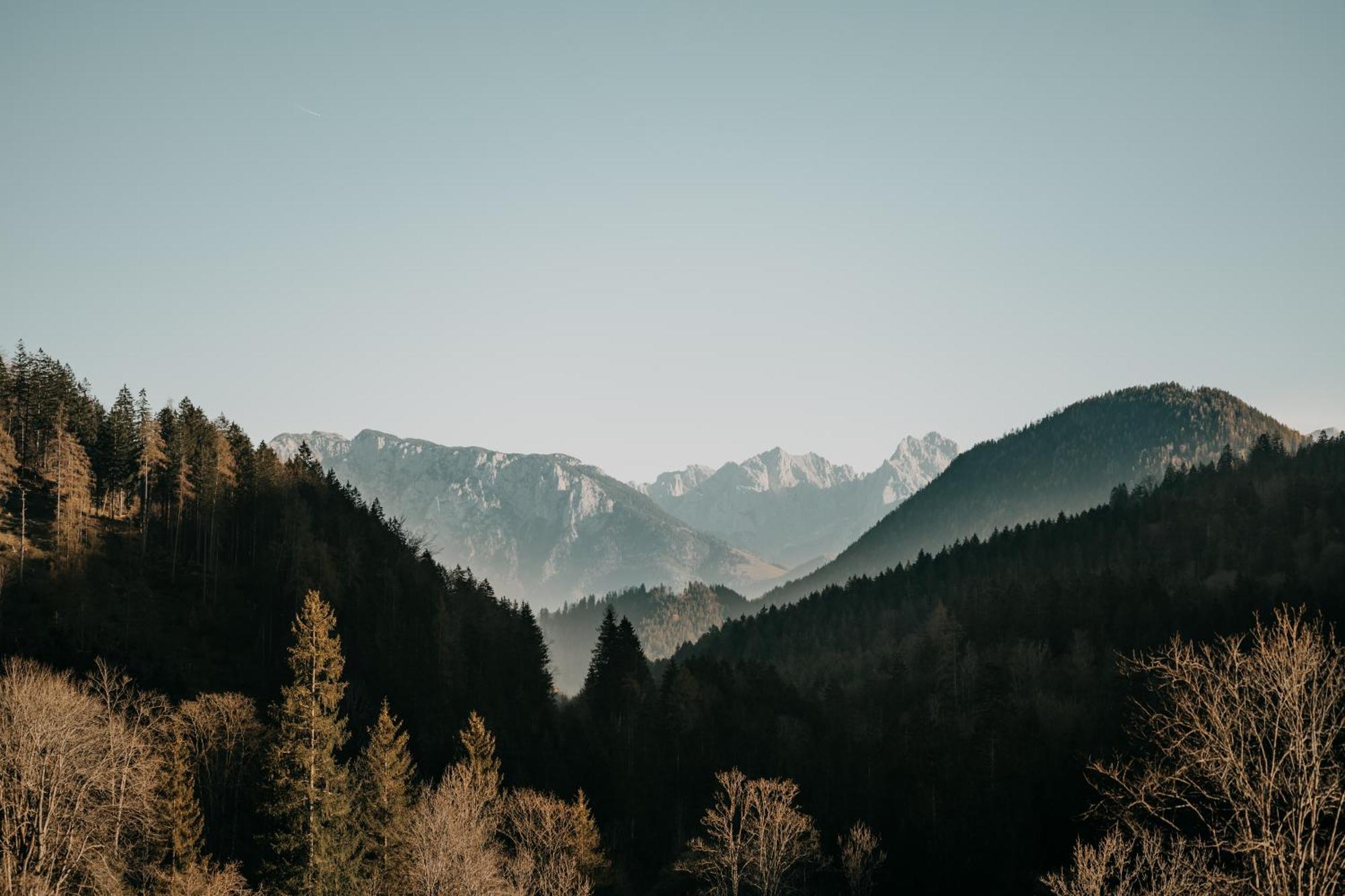 Feuriger Tatzlwurm Ξενοδοχείο Bayrischzell Εξωτερικό φωτογραφία